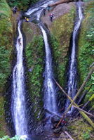Oneonta Gorge-20150408080439 pic.jpg