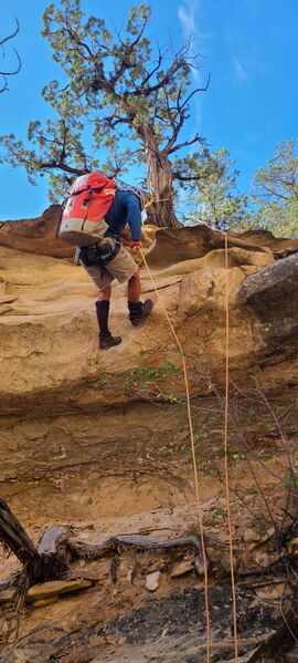 File:Rimrock Canyon pic005.jpg