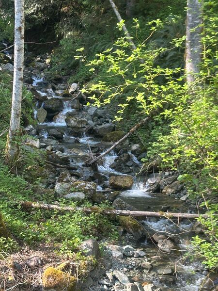 File:Suiattle Falls-20260428062943 pic.jpg