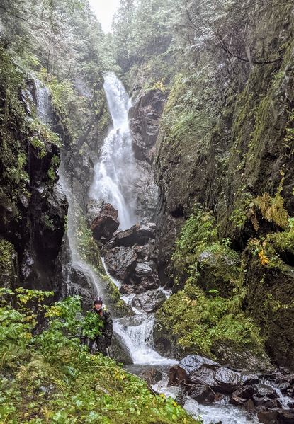 File:Hungry Bear Banner.jpg