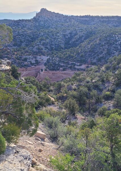File:Pinyon Canyon (CNM) pic002.jpg