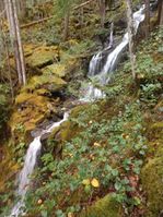 Sky Creek-20200924025806 pic.jpg