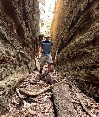 Valley of the Dinosaurs Banner.jpg