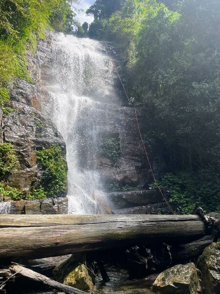 File:McKenzie (Gloucester Tops) pic1.jpg