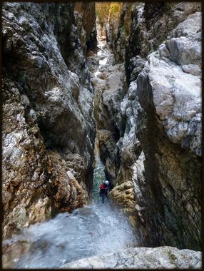 Sbrici Banner.jpg
