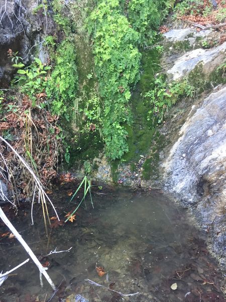 File:Laurel Springs Canyon img7994.jpg