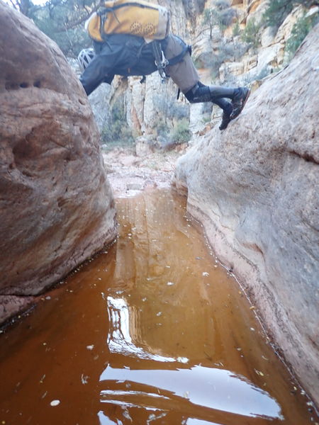 File:Miller Creek (Dinosaur) pic5.jpg