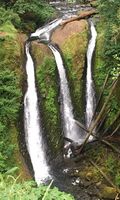 Oneonta Creek-20170715070900 pic.jpg