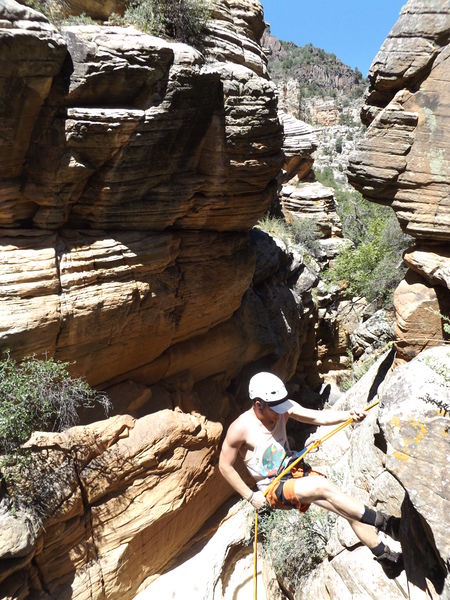 File:Tin Roof Canyon Banner.jpg