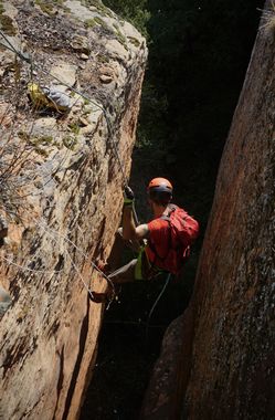 Counterfeit Canyon Banner.jpg