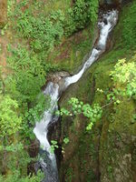 Davis Creek Canyon-20160624185152 pic.jpg
