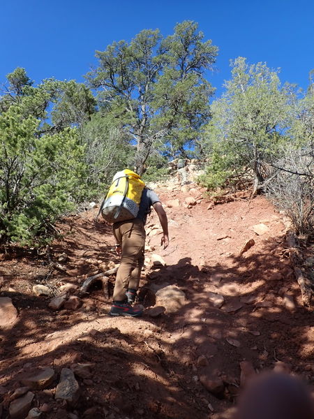 File:Cougar Canyon (New Mexico) pic1.jpg