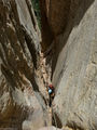 Thumbnail for version as of 06:16, 2 September 2014