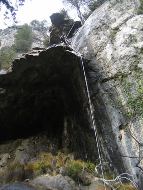 Hortets Banner.jpg