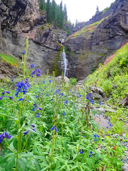 File:Oak Creek (Canopy) (Ouray) Canopy006.jpg
