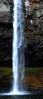 Big Creek (South Cascades)-20160629012324 pic.jpg