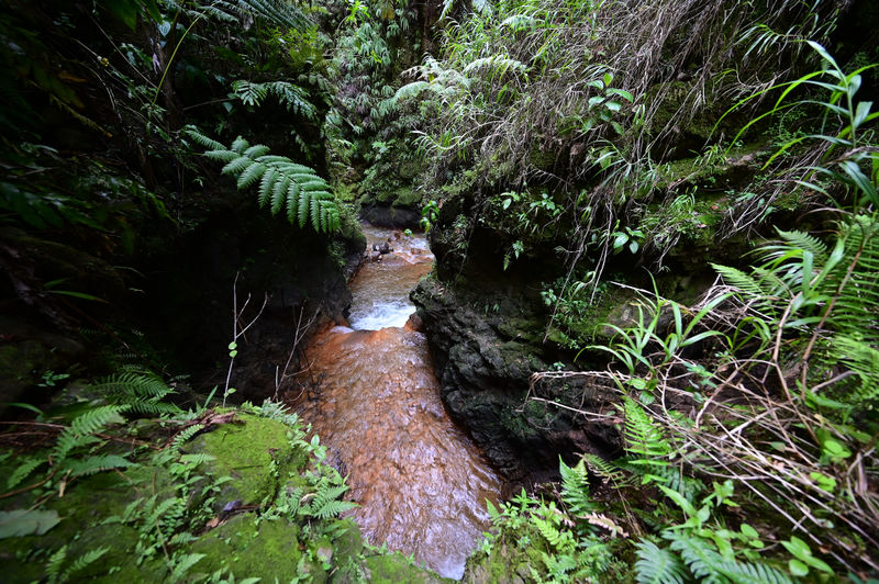 File:Blanc looking.jpg