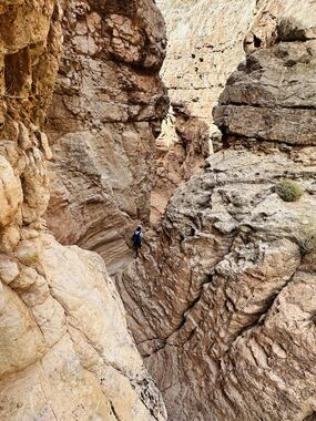 Frog Hollow Banner.jpg