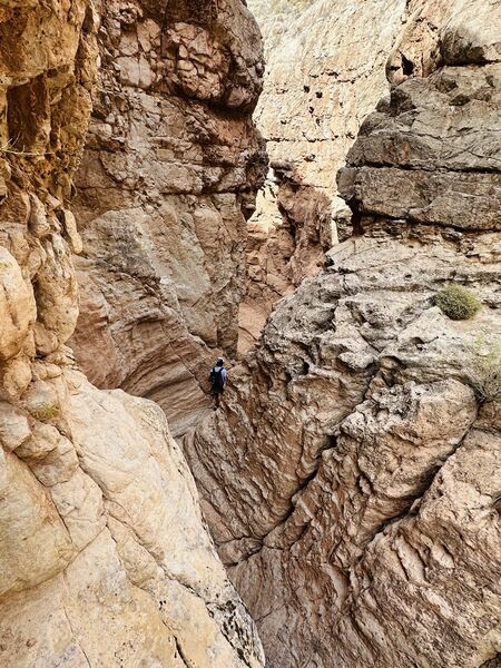 File:Frog Hollow Banner.jpg