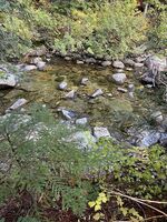 Lake Creek-20251023002454 pic.jpg