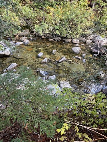 Lake Creek-20251023002454 pic.jpg