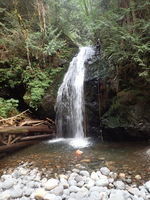 Rachor Creek-20220708064837 pic.jpg