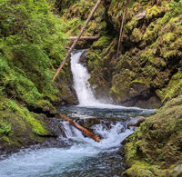 Cougar Creek-20230708203944 pic.jpg