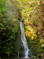 Madison Falls-20230827042739 pic.jpg