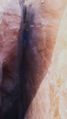 Thumbnail for version as of 17:00, 22 January 2016