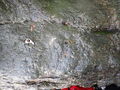 Thumbnail for version as of 05:40, 15 October 2021