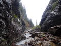 Thumbnail for version as of 17:03, 11 October 2021