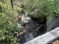 Palisades Canyon-20260618185911 pic.jpg