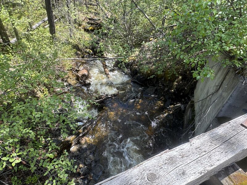 File:Palisades Canyon-20260618185911 pic.jpg