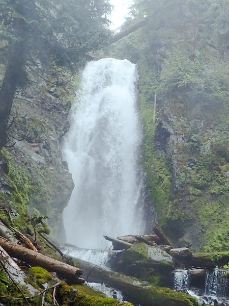 File:Breitenbush River (South Fork North Fork)-20160708212607 pic.jpg