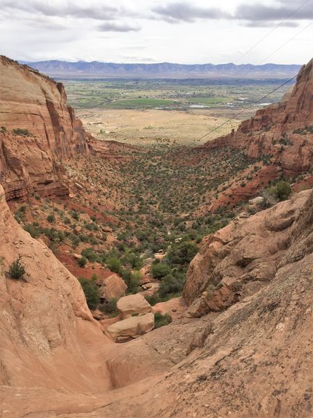 File:Lizzard Canyon Banner.jpg