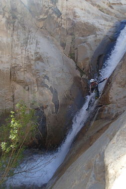 Olancha Creek Banner.jpg