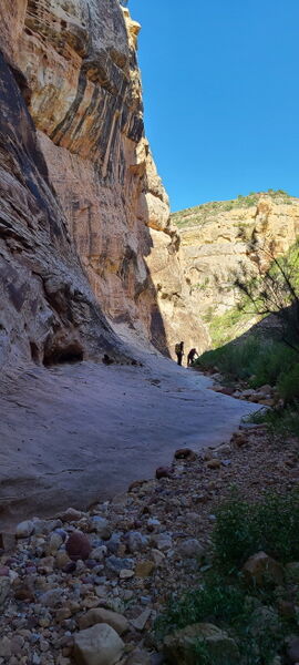 File:Pool Creek (Dinosaur) pic10.jpg