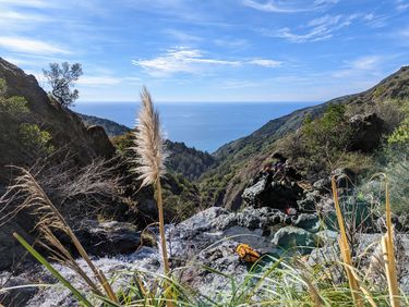 Alder Creek (Christmas Canyon) Banner.jpg