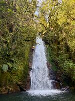 Boca de Salto-20241117055200 pic.jpg