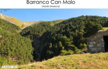 Can Malo Banner.jpg