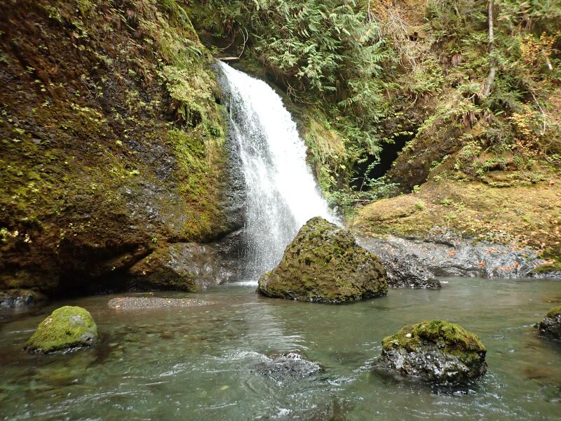 File:Goforth Creek Banner.jpg