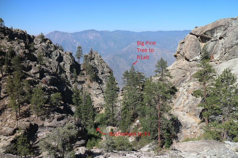 File:Salmon Creek (Upper) SalmonR1s.jpg