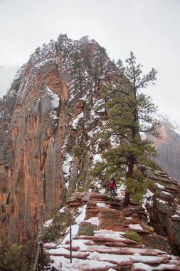 Angels Landing Banner.jpg