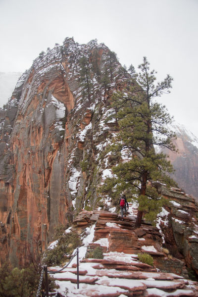 File:Angels Landing Banner.jpg