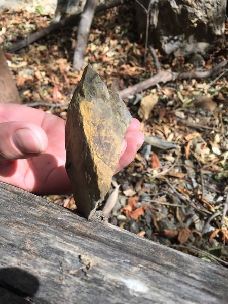 File:Laurel Springs Canyon img8038.jpg