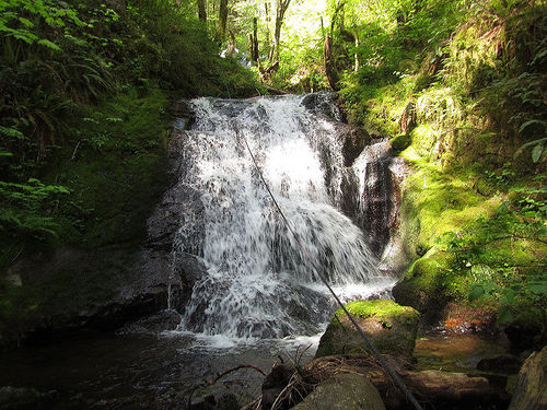 Little Woodward Creek-20170613162944 pic.jpg