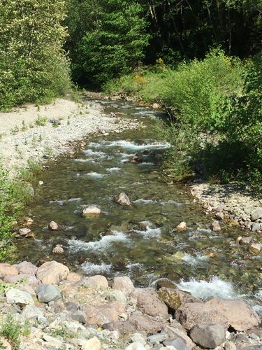 Sardine Creek-20170530224507 pic.jpg