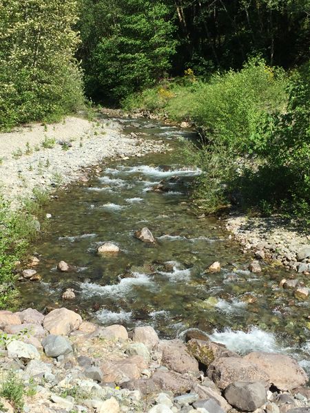 File:Sardine Creek-20170530224507 pic.jpg