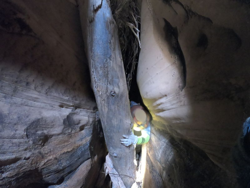 File:Stone Donkey Canyon 12.jpg