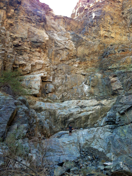 File:Bear Creek Banner.jpg